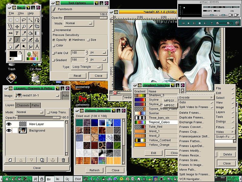 File:Gimp linux fullscreen.jpg