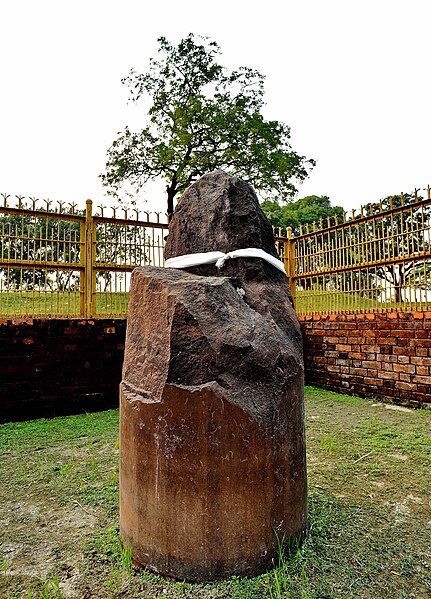 File:Gotihawa Achok Pillar Taulihawa Kapilbastu Lumbini Zone Nepal Rajesh Dhungana (3).jpg