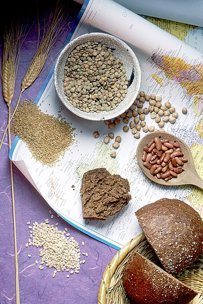 File:Grains and bread.jpg