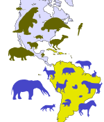 דוגמה להגירת מינים בין שתי האמריקות. הצלליות בצבע ירוק-זית מסמלות את המינים שהיגרו מאמריקה הדרומית לאמריקה הצפונית. הצלליות הכחולות מסמלות את המינים שהיגרו בכיוון ההפוך.