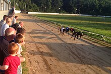 Corrida de galgos no Valley Greyhound Stadium, Ystrad Mynach.jpg