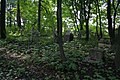 Vue du cimetière abandonné