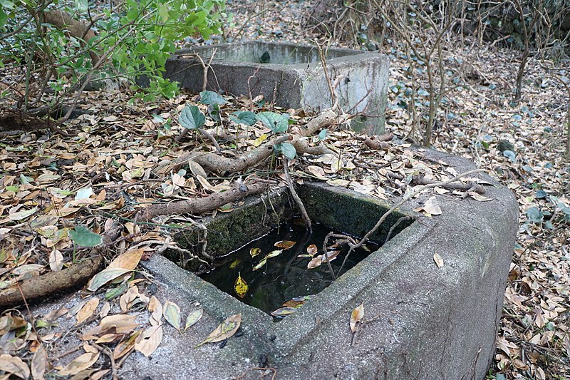 File:Hachijo-Kojima Island Toriuchi district traces of the Rainwater tub 03.jpg