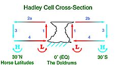 Hadley cell circulation tends to create anticyclonic patterns in the Horse latitudes, depositing drier air and contributing to the world's great deserts. HadleyCross-sec.jpg