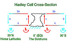 The Hadley cell carries heat and moisture from the tropics towards the northern and southern mid-latitudes. HadleyCross-sec.jpg