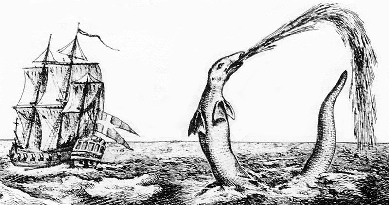File:Hans Egede sea serpent 1734.jpg