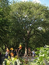 File:Russian Hare Krishnas singing on the street.jpg - Wikipedia