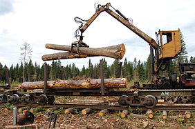 Holzverladung