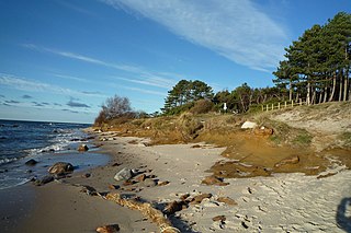 <span class="mw-page-title-main">Hasle Formation</span> Geologic formation on the island on Bornholm, Denmark