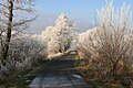 Havelland-Radweg