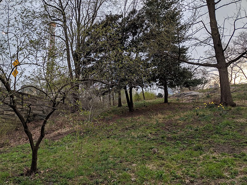 File:Hill in Central Park with wall.jpg