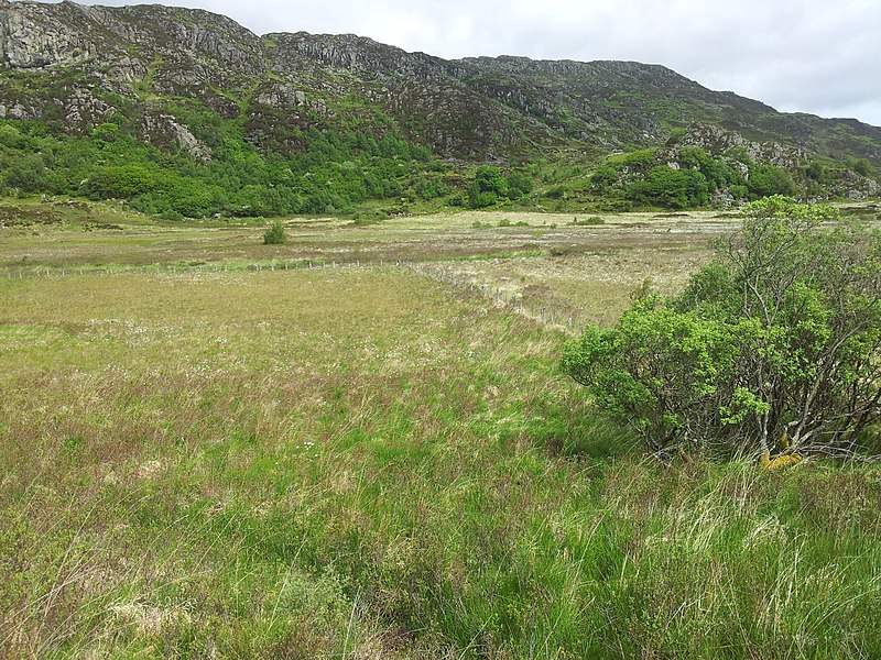 File:Hochmoor Snowdonia.jpg