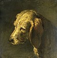 Hondenkop Rijksmuseum SK-A-2257.jpeg