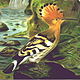 Hoopoe100.JPG