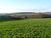 Pferd schließen Holz Alton Common - geograph.org.uk - 669595.jpg