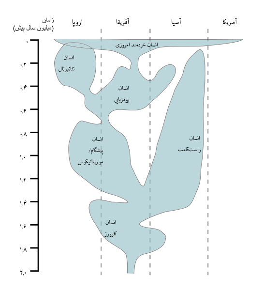 File:Human evolution chart-fa.svg