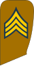 IIArmy-Gorohban1.svg