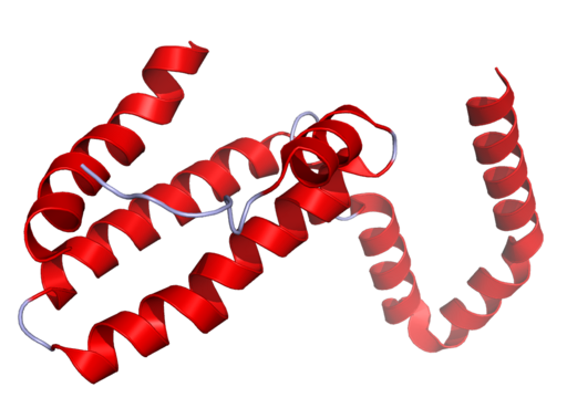 IL10 Crystal Structure.rsh