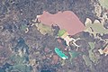 ISS029-E-39848 - View of Ukraine.jpg