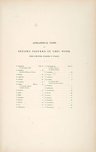 alphabetical index