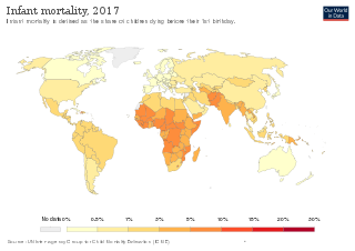 Infant Mortality Rate Death of children under the age of 1