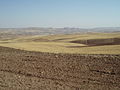 Iran 2007 053 Farm land (1732430592).jpg
