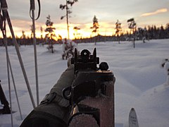 Iron sights of Ak 5.jpg