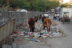 Sources of municipal solid waste in delhi environmental sciences essay