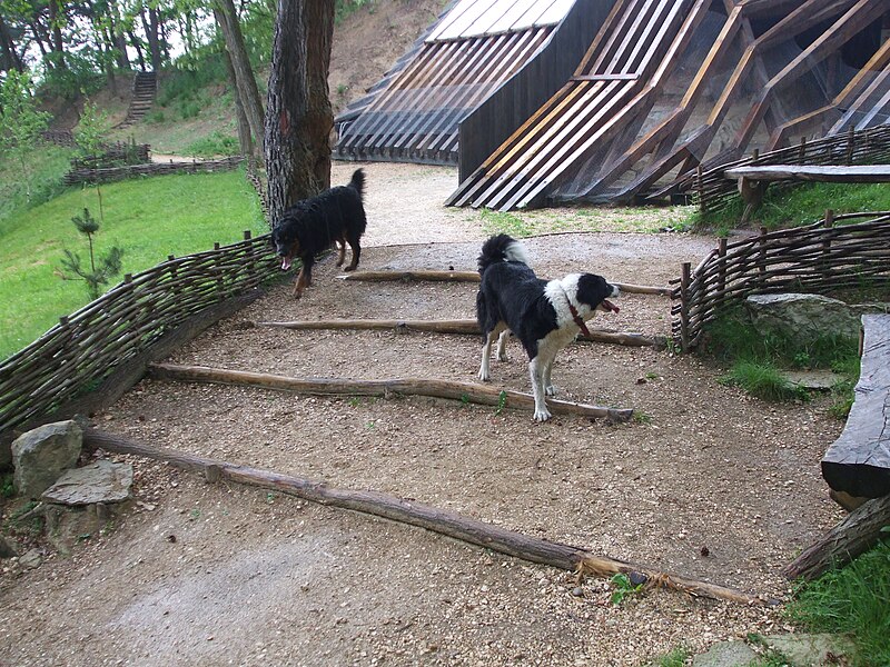 File:Jo & Becky at Sinca Veche 2012.jpg