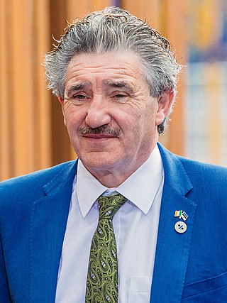 <span class="mw-page-title-main">John Halligan (politician)</span> Irish former politician (b. 1955)