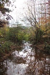 Johns Creek was named after Johns Creek, a tributary of the Chattahoochee River. Johns Creek (Chattahoochee River) at Findley Road, Nov 2017.jpg