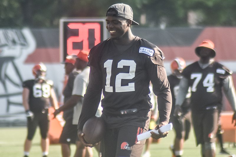 File:Josh Gordon (28192530463).jpg