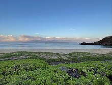 Beach in Kaanapali Beach on western shore of Maui, Hawaii