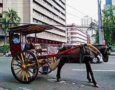 Kalesa at Binondo, Manila (January 2020).jpg