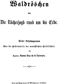 Titulní stránka románu z roku 1882