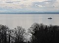 Katamaran-Bodensee 001-1.JPG