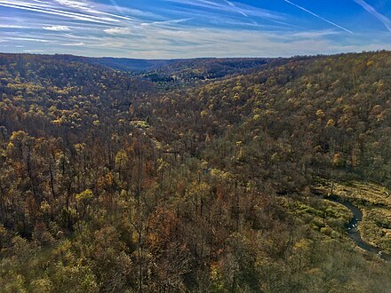 The view from the Kinzua Sky Bridge.