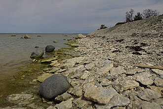 Vesiloo plateau in Vilsandi National Park Kliburand Vesiloo laiul.JPG