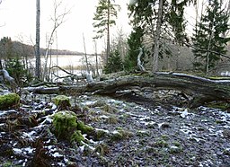 Sundhällafjärden sedd från Koholmens naturreservat