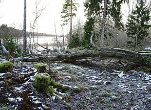 Norra delen med Sundhällafjärden i bakgrunden