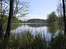 Der Schleinsee