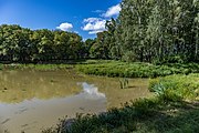 English: Kuncaŭščyna pond. Minsk, Belarus Беларуская: Стаў Кунцаўшчына. Мінск, Беларусь Русский: Пруд Кунцевщина. Минск, Беларусь