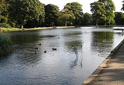 Lago di Middleton Park