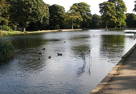 Lake In Middleton Park