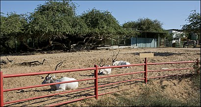 איך מגיעים באמצעות תחבורה ציבורית  לפארק לכיש? - מידע על המקום