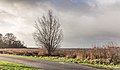 Stormachtige wind en zware regenbuien boven Langweerderwielen.