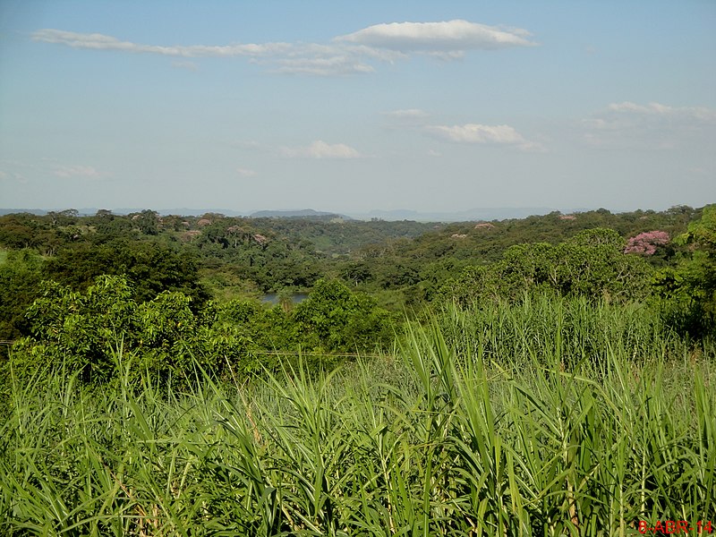 File:Lindas paisagens no subidão de Brodowski na rodovia Cândido Portinari - SP-334. - panoramio.jpg