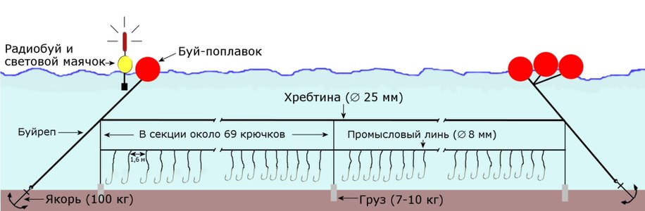 Схема постановки испанского (двойного) донного яруса