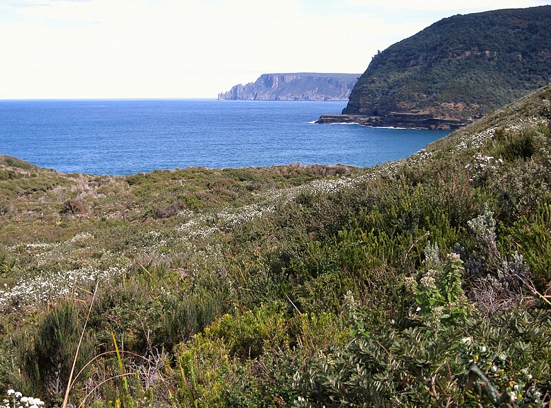 File:Looking towards Cape Raoul from Remarkable Cave, Tasman National Park.jpg