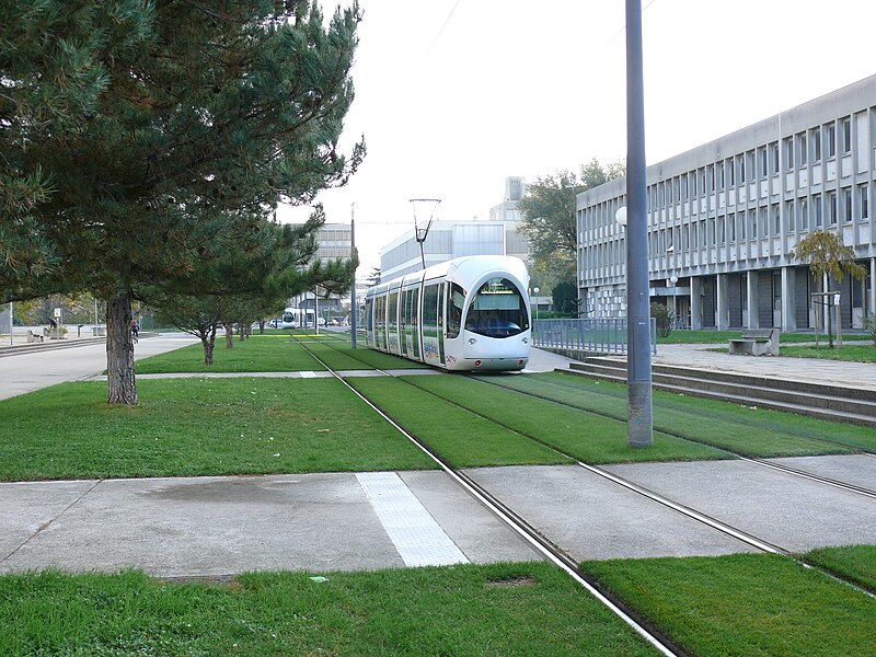File:Lyon T1 Interstation Univ Lyon1 - La Doua - a.JPG
